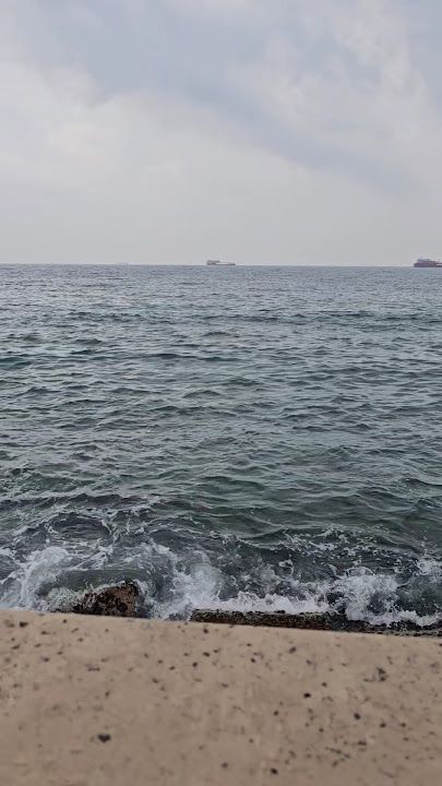 Fotoğraf 17