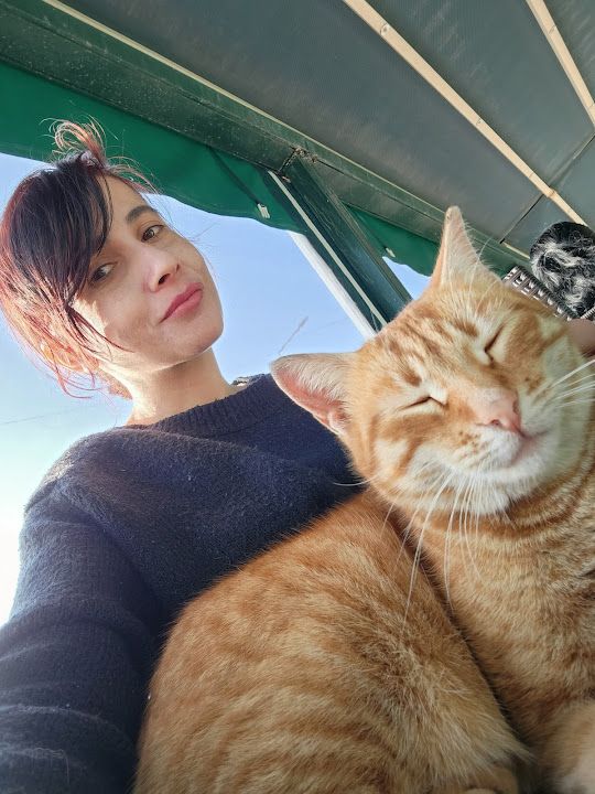 Fotoğraf 12
