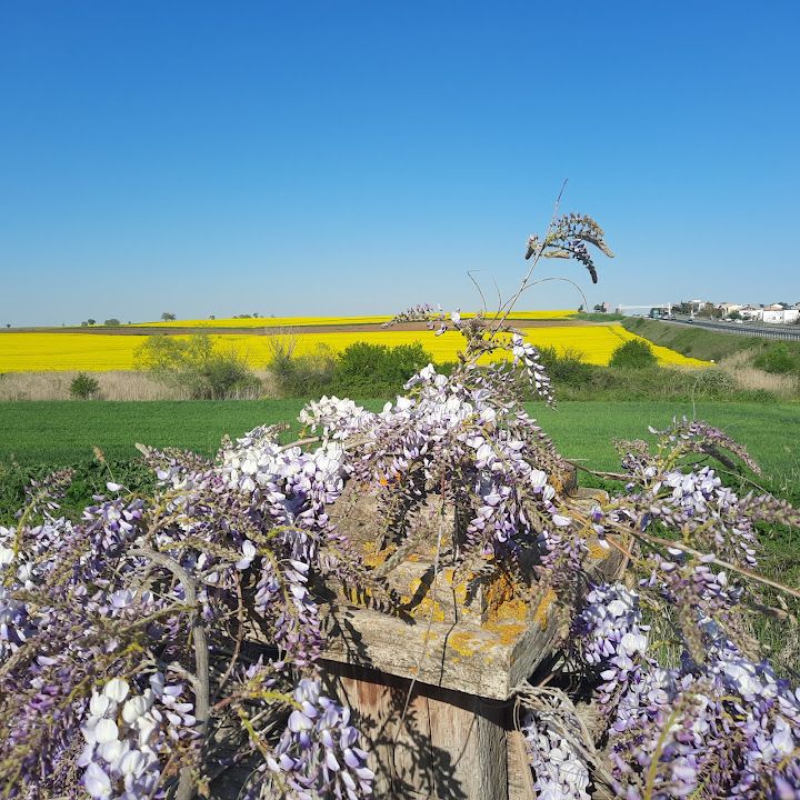 Fotoğraf 36