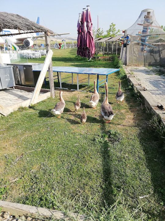 Fotoğraf 73