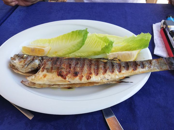 Fotoğraf 45