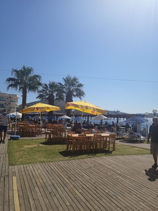 Fotoğraf 87