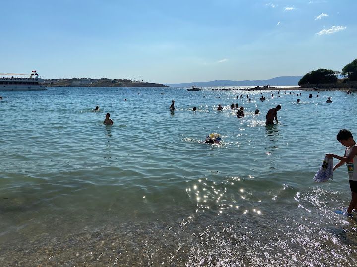 Fotoğraf 79