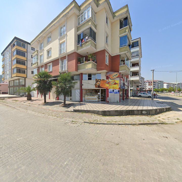 Ali Kemal