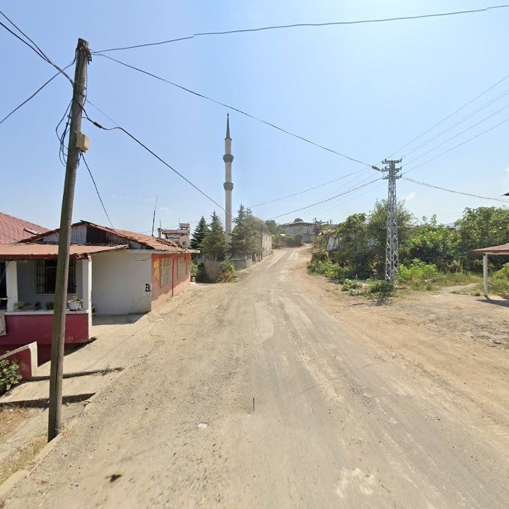 Fotoğraf 2