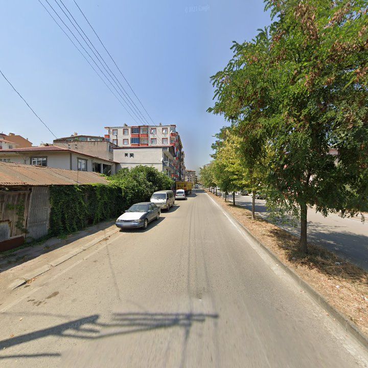 Fotoğraf 5