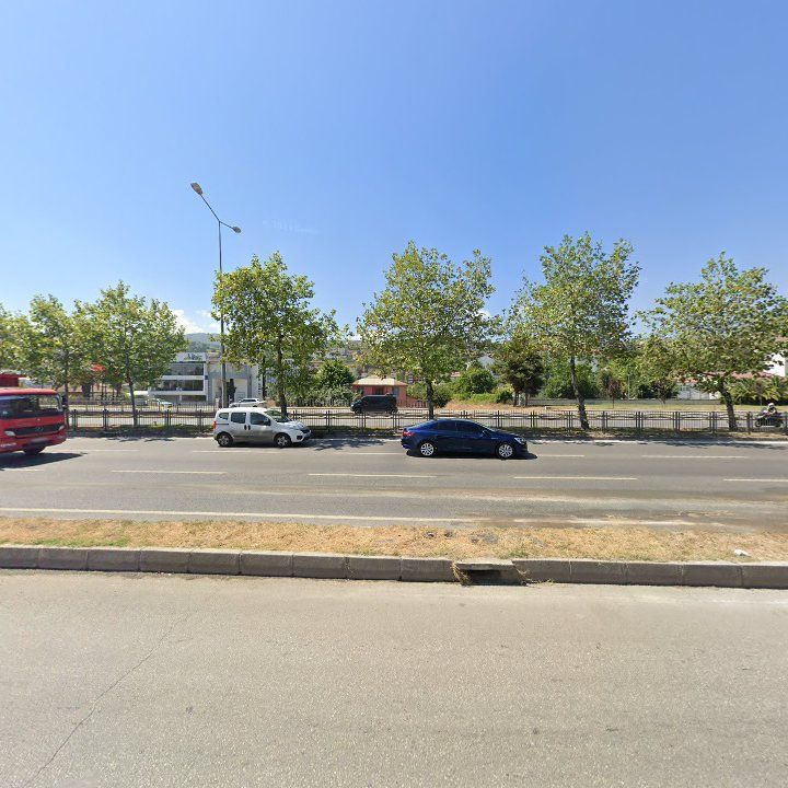 Fotoğraf 14