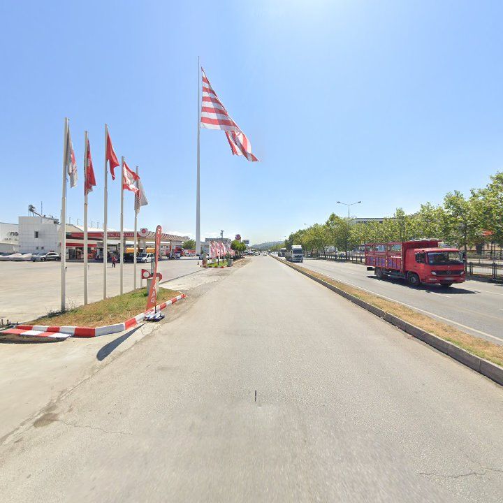 Fotoğraf 13