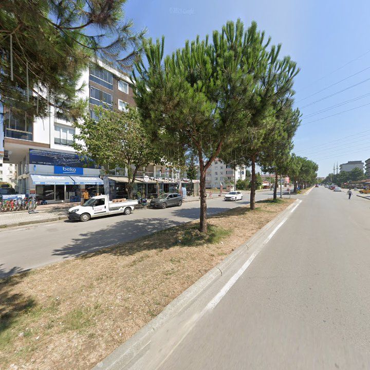 Fotoğraf 11