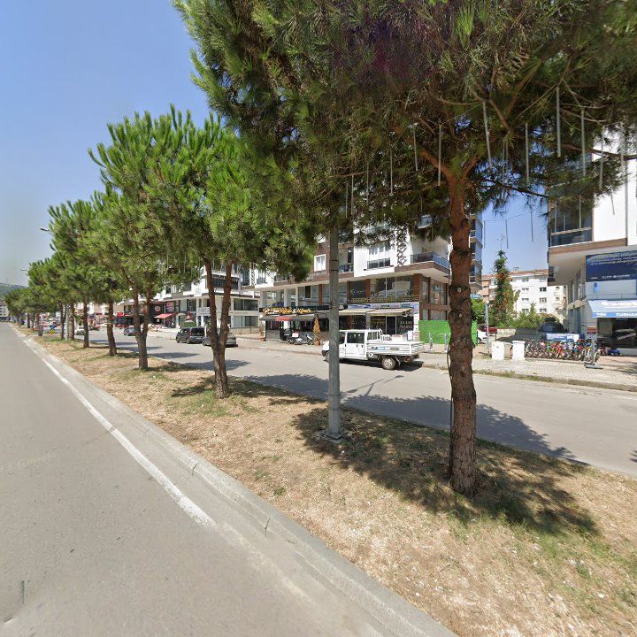 Fotoğraf 10