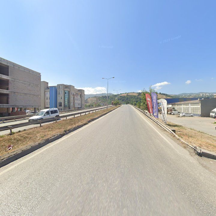 Fotoğraf 10