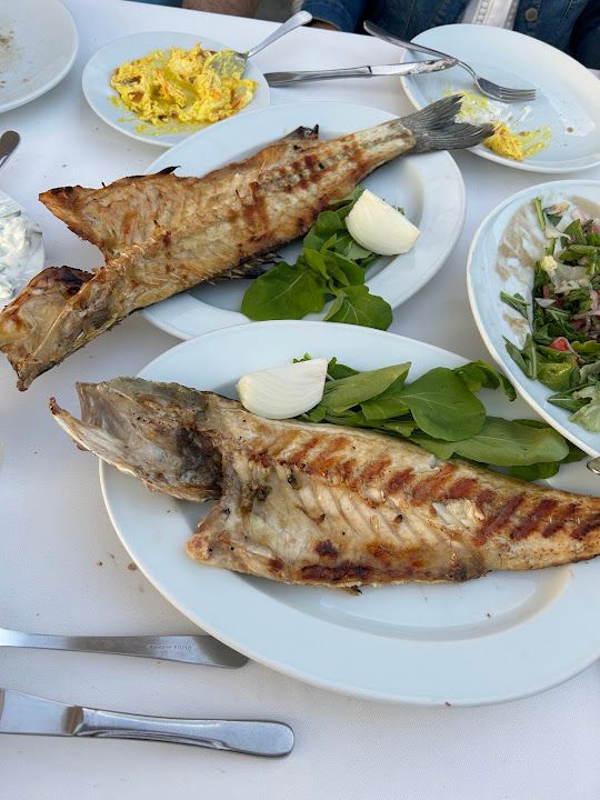 Fotoğraf 15