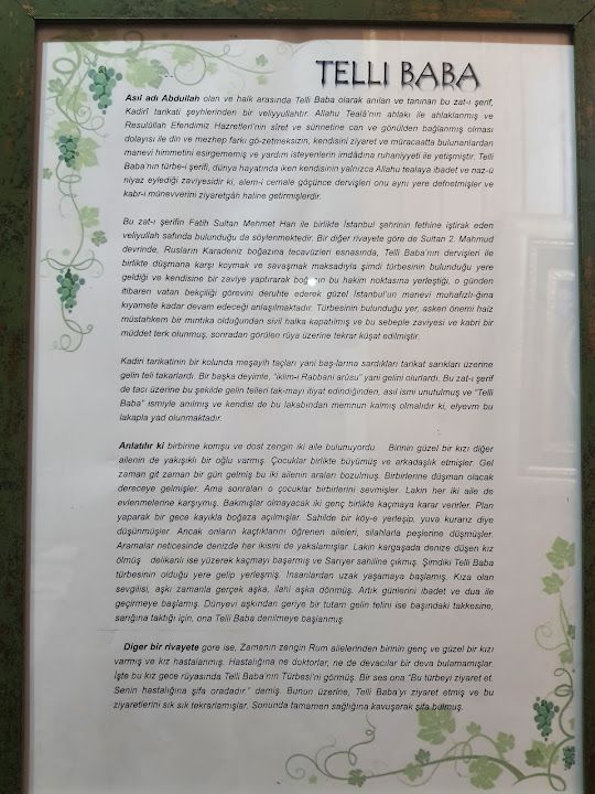 Fotoğraf 35