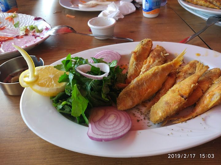 Fotoğraf 37