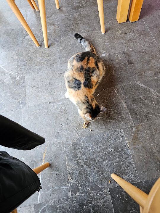 Yorum fotoğrafı 4