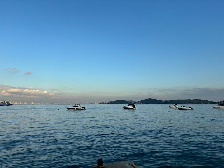 Fotoğraf 59