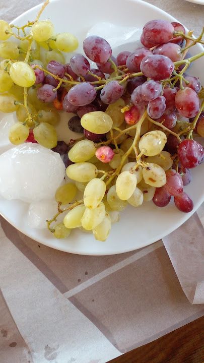 Fotoğraf 14
