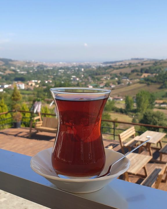 Fotoğraf 16