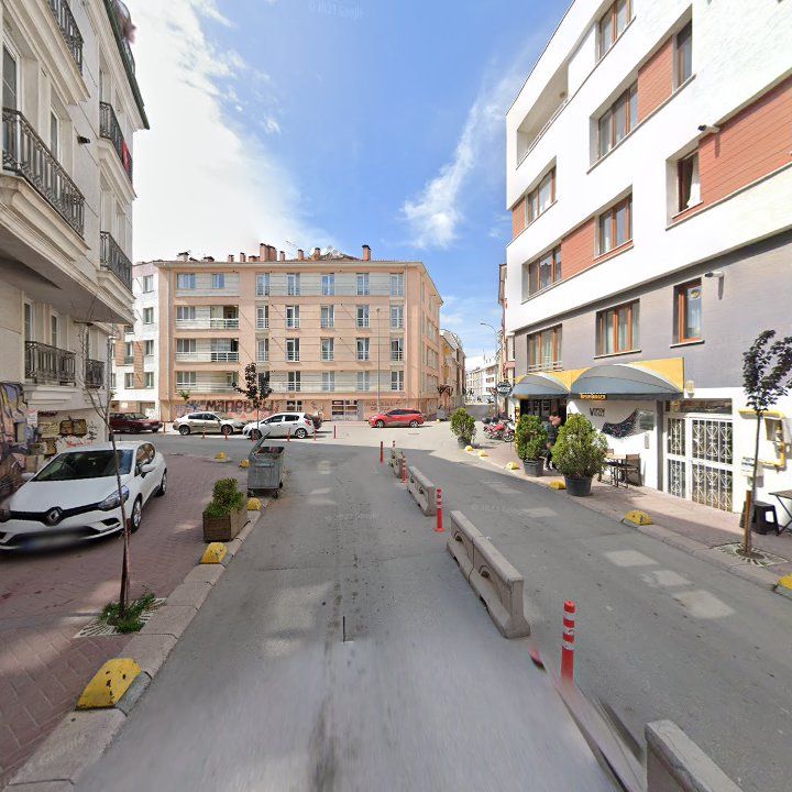 Fotoğraf 10