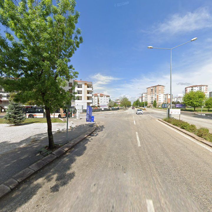 Fotoğraf 11