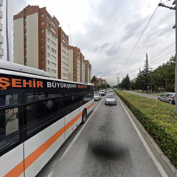 Fotoğraf 12