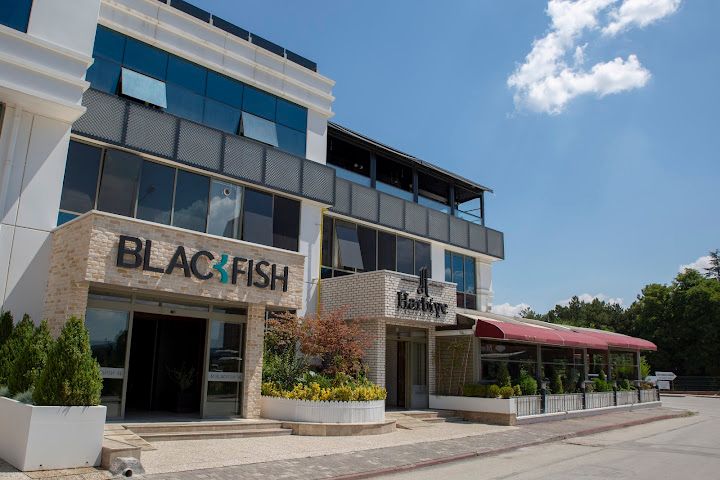 Blackfish