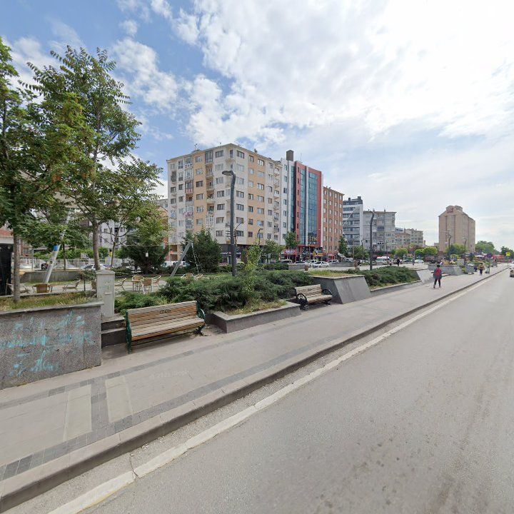 Fotoğraf 11