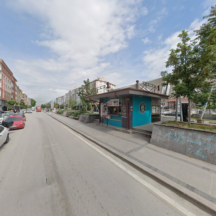 Fotoğraf 10