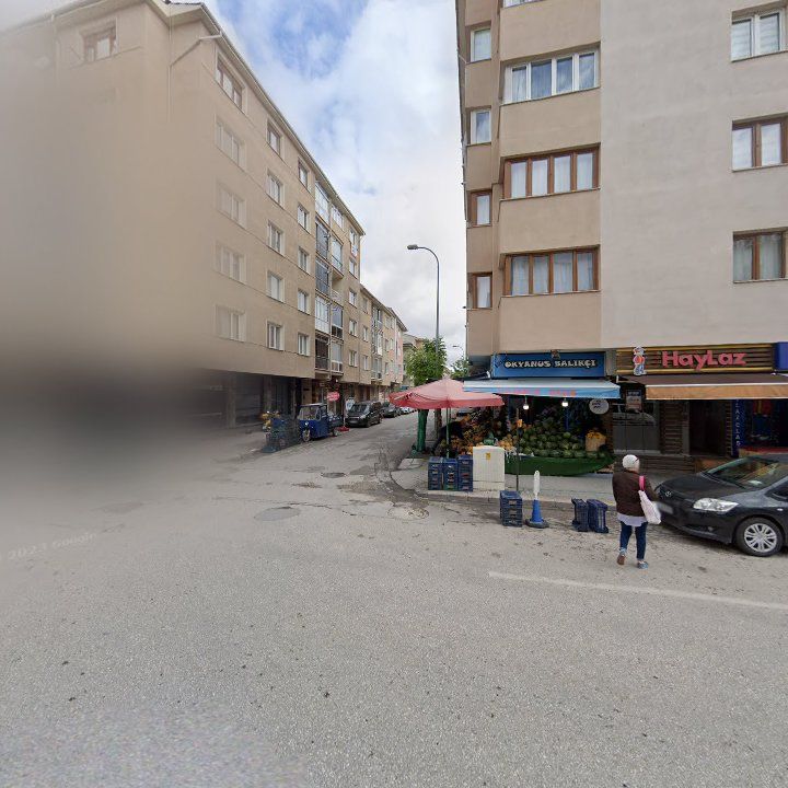 Fotoğraf 2