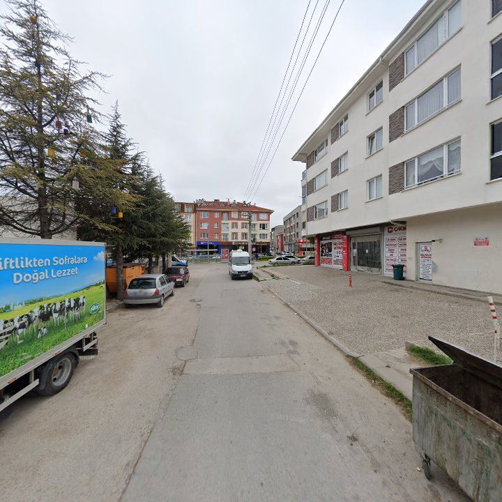 Fotoğraf 11