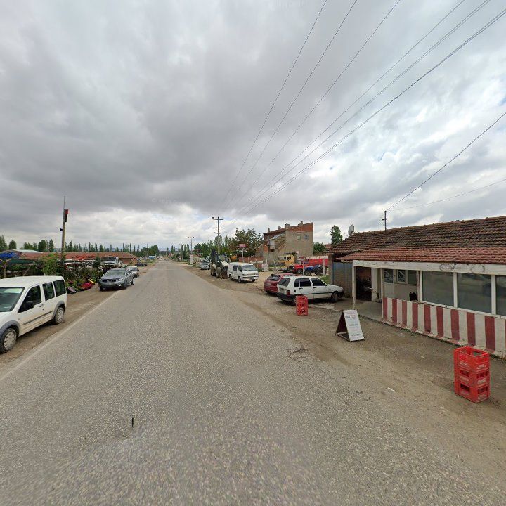 Fotoğraf 10