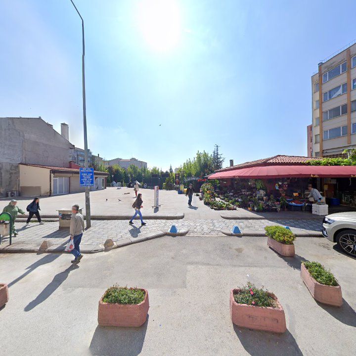 Fotoğraf 9