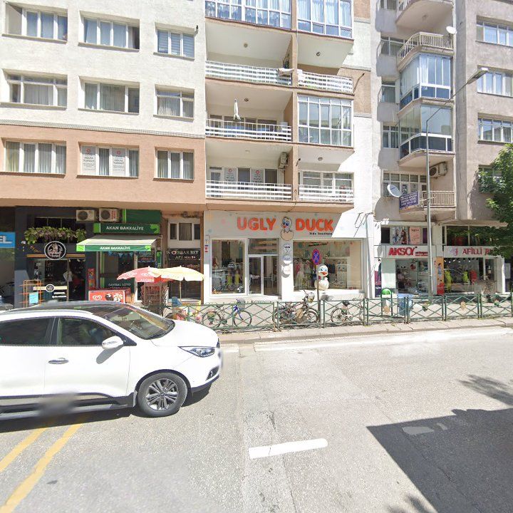 Fotoğraf 12