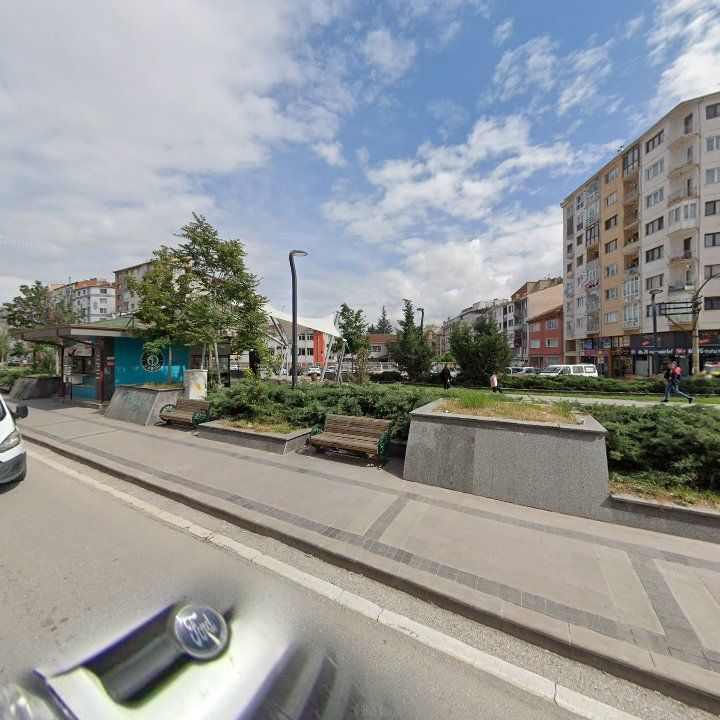 Fotoğraf 10