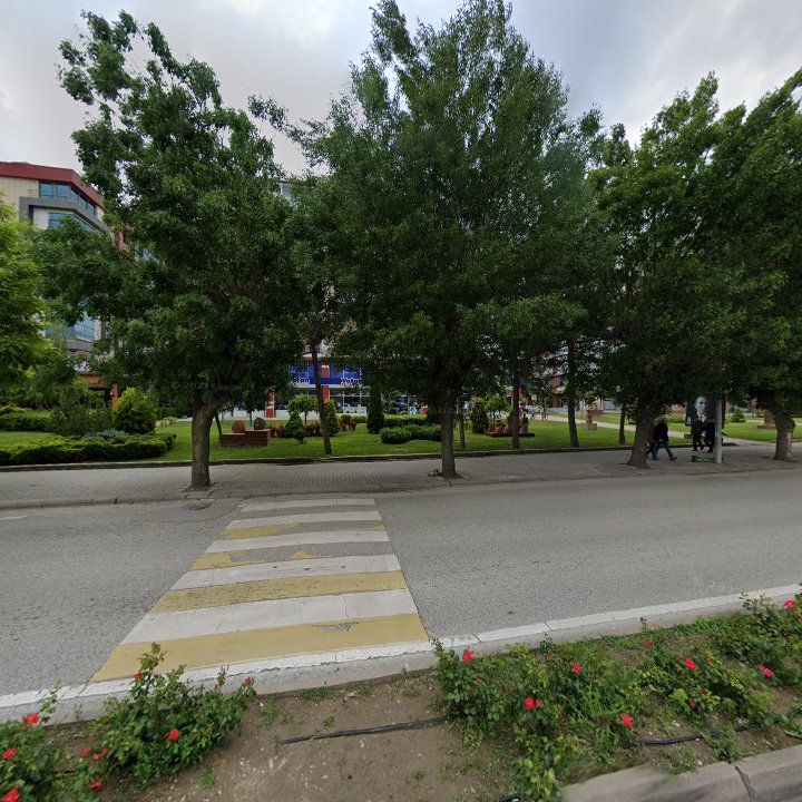 Fotoğraf 11