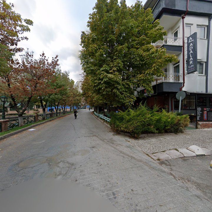 Fotoğraf 12