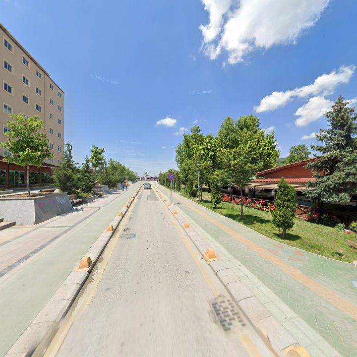 Fotoğraf 15
