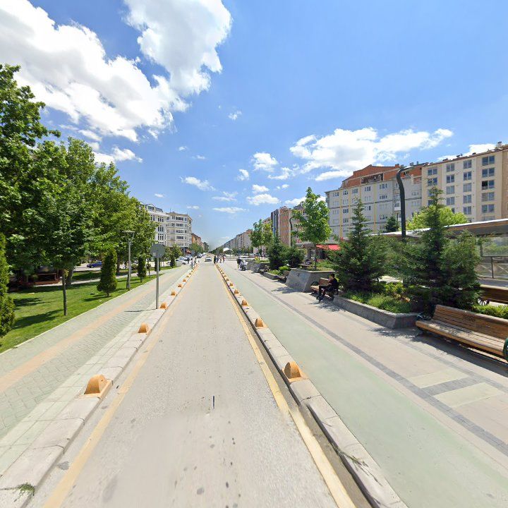 Fotoğraf 13