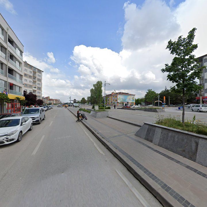 Fotoğraf 11