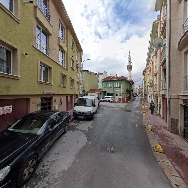 Fotoğraf 11