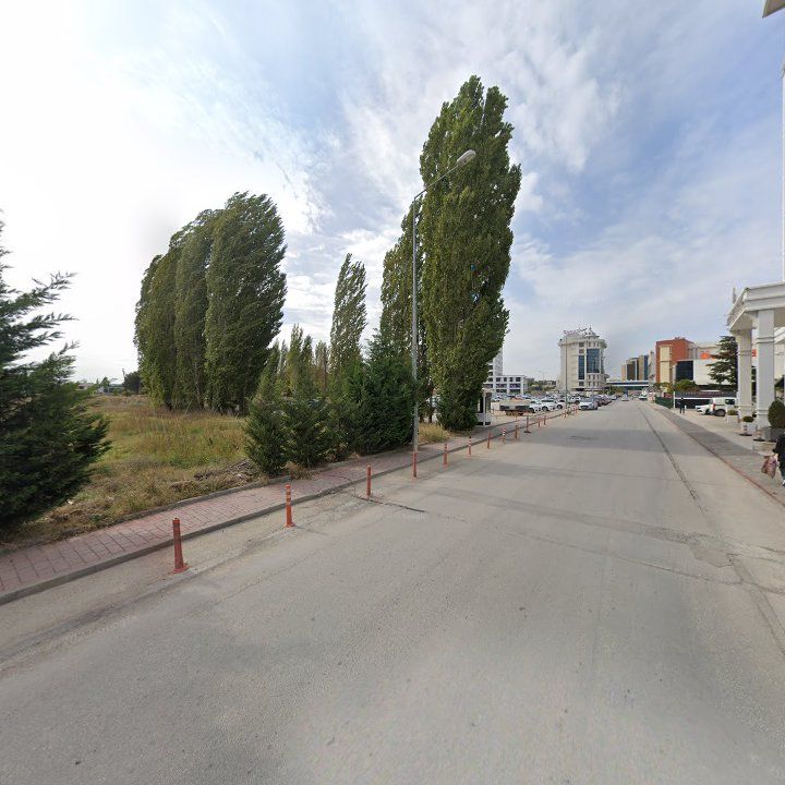 Fotoğraf 12