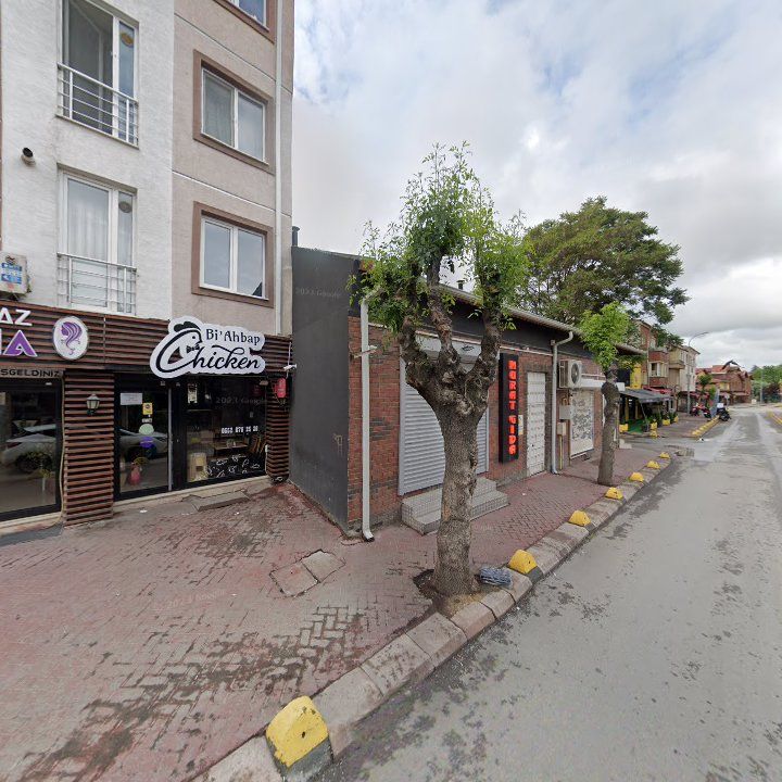 Fotoğraf 11