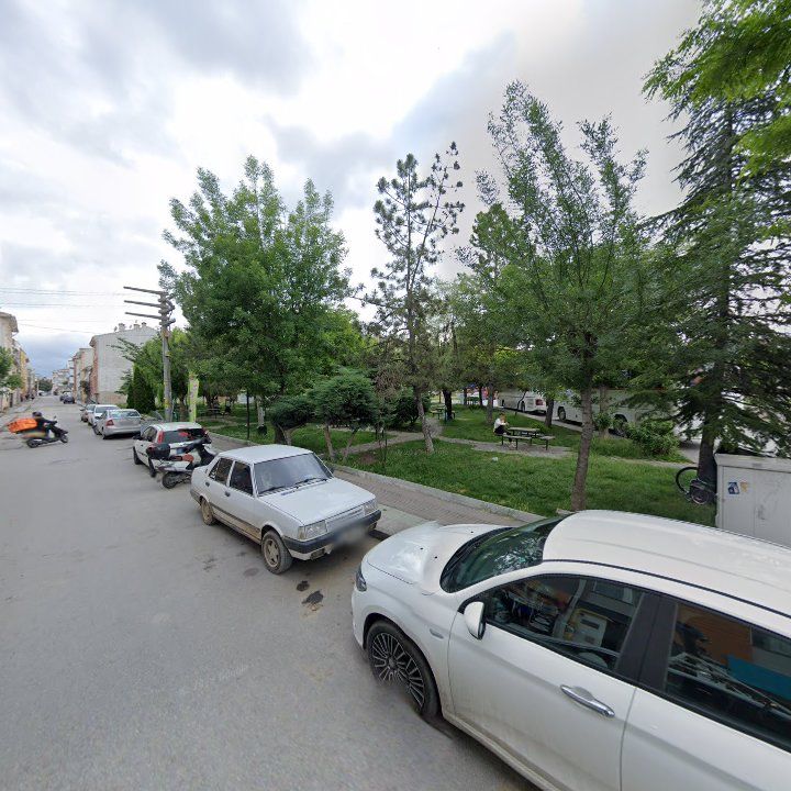 Fotoğraf 8
