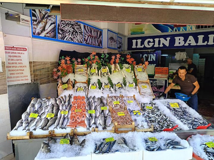 Ilgın Balık