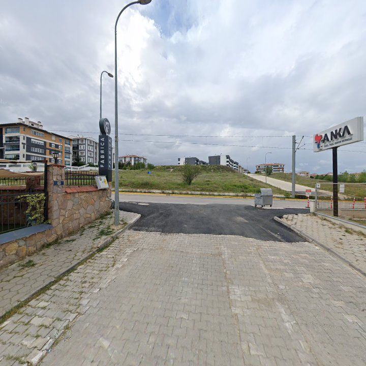 Fotoğraf 8