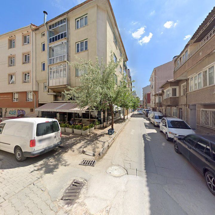 Fotoğraf 10