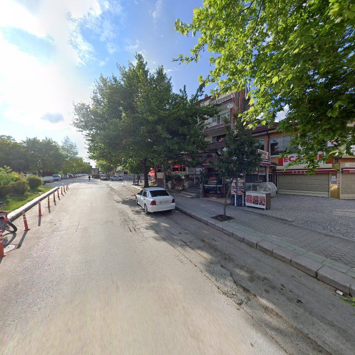 Fotoğraf 11