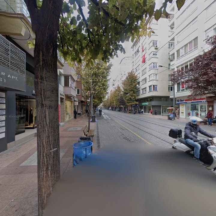 Fotoğraf 12