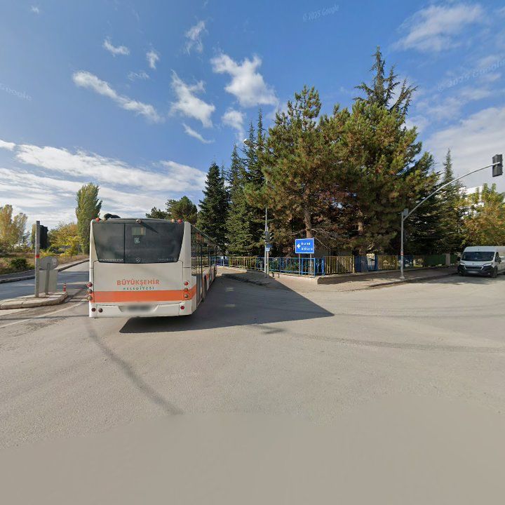 Fotoğraf 8