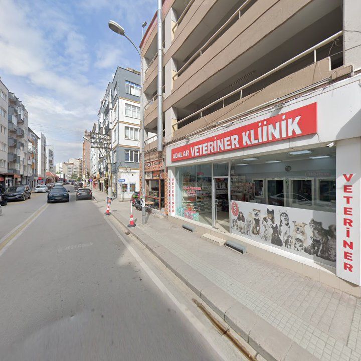 Fotoğraf 10